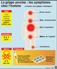 Les symptômes de la grippe A(H1N1), dite porcine, sont semblables à ceux de la grippe saisonnière. © Infographie IDE, source INVS