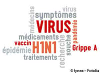 Grippe A(H1N1) : après l'épidémie, les explications. © Lynea/Fotolia
