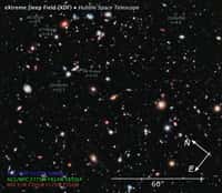 Une vue de l'Extreme Deep Field ou XDF. Sur ce champ très profond qui a été photographié par Hubble, sont cerclés quelques objets avec des décalages spectraux Z parfois importants. ©&nbsp;Illustration Z. Levay (STScI)-Nasa, Esa, G. Illingworth, D. Magee, and P. Oesch (University of California, Santa Cruz), R. Bouwens (Leiden University), the HUDF09 Team