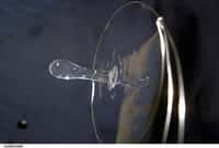Photo prise par Donald R. Pettit à bord de l'ISS. A cause de sa tension superficielle, l'eau peut prendre des formes étonnantes en apesanteur comme ici un film lié à un anneau métallique. Crédit : Nasa
