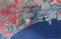 La ville d'Ishinomaki après le tsunami, vue par satellite. © Nasa