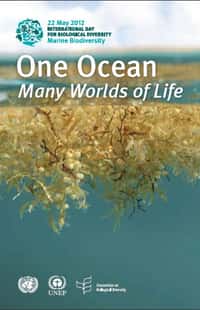 Le 22 mai 2012 se déroule la Journée internationale de la biodiversité, consacrée cette année à la biodiversité marine. Une bonne idée quand on sait que trois quarts des fonds marins nous sont inconnus... © DR