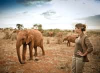 Olivia Mokiejewski à côté d'un éléphanteau, recueilli, choyé mais pas encore sauvé. © France 2