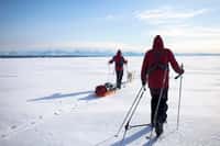 L'expédition Pôle Nord 2012 en entraînement au Groenland, sur la banquise. © Raphaël Demaret