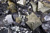 Groupe de cristaux de magnétite en rhombododécaèdre avec cristaux de pyrite octaédriques (jaunes). La magnétite est un exemple de matériau ferromagnétique. © Archaeodontosaurus, Wikipédia, cc by sa 3.0