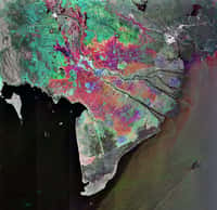 Cette image prise par Envisat montre le delta du Mékong où le douzième fleuve le plus long du monde se divise en multiples bras et se déverse en mer de Chine méridionale. Il s’agit de la combinaison de trois vues acquises au-dessus de la même zone par le radar ASAR les 9 janvier, 13 février et 20 novembre 2007. Les couleurs de l’image indiquent les variations intervenues entre les prises de vues. Source : Esa/Envisat
