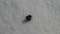 Un débris de la météorite de l'Oural. On sait déjà qu’il s’agit d’une chondrite, c'est-à-dire une pierre contenant&nbsp;du métal, et provenant d'astéroïdes qui figurent parmi les plus anciens du Système solaire.&nbsp;© Photo Denis Panteleev, Ria Novosti