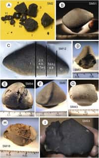 Quelques fragments de la météorite de Sutter's Mill, en cours d'analyse. © Peter Jenniskens et al., Science