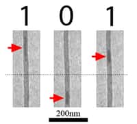 Les nanotubes de carbone observés au microscope électronique. Les flèches rouges indiquent la position de la nanoparticule de fer. © Zettl Research Group, Lawrence Berkeley National Laboratory and University of California at Berkeley