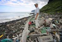 Le rivage de l'île de Niihau vers Hawaï, montre par endroit une pollution importante témoignant du problème non négligeable des rejets de matière plastique dans le Pacifique. © Polihale-wikipédia