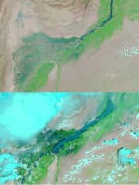 Deux vues du Pakistan réalisées par le satellite Aqua à l'aide de son imageur Modis (Moderate Resolution Imaging Spectroradiometer). Elles montrent la vallée de l'Indus, ce fleuve qui descend de l'Himalaya (ici en haut à droite, et non visible). L'image du haut date du 18 juillet 2010, celle du bas a été prise le 8 août. © Nasa
