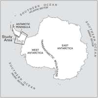 La péninsule antarctique est la partie du continent la plus éloignée du Pôle sud. Les températures de la partie sud, étudiée ici, sont les plus basses de la péninsule. Tout changement observé en ce lieu est donc annonciateur des changements à venir pour la péninsule et le continent antarctique tout entier. © U.S. Geological Survey