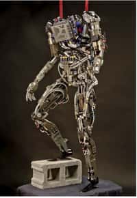 Pet-Proto est une variante musclée de Petman, un robot humanoïde dénué de tête créé par Boston Dynamics pour la Darpa. Ce robot est employé pour évoluer comme un humain dans des conditions extrêmes afin de tester des équipements destinés à la Défense ou pour les situations de catastrophes chimiques, nucléaires ou naturelles. © Boston Dynamics