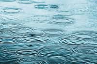 En juillet 2012, dans plusieurs régions du Nord de la France, les pluies ont dépassé de 30 à 80 % les normales saisonnières. Le Sud, au contraire, a connu un déficit en eau. © Dutourdumonde,&nbsp;Shutterstock.com