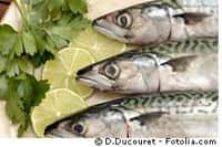 Les poissons gras sont une meilleure source d'omégas-3 que des médicaments fabriqués avec des huiles de poisson. © D. Ducouret, Fotolia