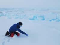 Julien Cabon en train de réaliser des prélèvements de neige qui seront ramenés au laboratoire pour des analyses de microbiologie. On sait très peu de choses des populations de bactéries qui vivent là. © Pôle Nord 2012