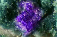 La putnisite s'est fait repérer par sa couleur violette, bien visible au sein d'une roche de couleur verte, d'origine volcanique. © Peter Elliott et al., Mineralogical Magazine