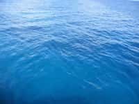 Que représente le niveau moyen de l'océan ? © ecolomania.com