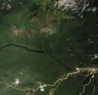Sur cette image acquise par la caméra Meris d’Envisat le 28 septembre 2008, le Rio Negro (plus grand cours d’eaux noires) et le Rio Solimões (plus grand cours d’eaux blanches du bassin de l’Amazone se mêlent pour former le fleuve Amazone juste en aval de Manaus, au Brésil. Crédit Esa