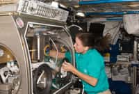 C'est l'astronaute de la Nasa Shannon Walker qui a mis en route NanoRacks. On la voit ici en train de préparer une expérience à l'intérieur de la boîte à gants de l'Esa dans Columbus. Crédit Nasa