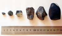 Voici des fragments de la météorite de Tcheliabinsk, qui ont été&nbsp;trouvés sur le sol. Le possible morceau&nbsp;de la météorite,&nbsp;découvert&nbsp;au fond du lac&nbsp;Tchebarkoul est bien plus gros : il mesurait&nbsp;1,5 m et pesait 570 kg avant que la balance ne casse ! ©&nbsp;Alexander Sapozhnikov,&nbsp;Wikimedia, Creative&nbsp;Commons
