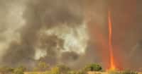 Un tourbillon emporte des débris enflammés sur le front d'un incendie de forêt aux États-Unis. Comme les tourbillons de poussière observés sur de vastes plaines ou déserts surchauffés, ou encore sur l'océan, ce phénomène exige de la chaleur et du vent, lequel peut être généré, ou renforcé, par l'incendie lui-même. © Discovery Science