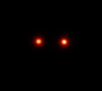 Les deux étoiles HD 80606 (à droite) et HD 80607 (à gauche) observées la nuit du transit au télescope de 120 cm. © OHP/LAM-OAMP