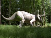 Une maquette de tricératops, au Styrassic Park, en Autriche. Source Commons