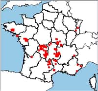 La carte de France des mines d'uranium. Le Limousin et l'Auvergne sont particulièrement bien lotis, ainsi que le nord de la région Midi-Pyrénées et du Languedoc-Roussillon. En tout, environ 200 sites ont un jour été exploités. © IRSN