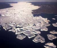 Le vêlage, la libération d'icebergs au débouché des glaciers dans la mer comme ici au Groenland dans le Fjord Jakobshavn, est normal. Mais durant les événements d'Heinrich, le phénomène s'emballe. © Photo courtesy of Oregon State University