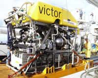 Victor, le robot télécommandé sous-marin, ou ROV (Remote Operated Vehicle), qui a exploré la région d'Ashadze. © Ifremer