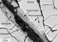Coupe de la météorite martienne Yamato 000593 observée au microscope électronique. Des tunnels et microtunnels sont visibles dans la roche riche en minéraux hydratés, et ils évoquent des « bioaltérations » mises en évidence dans les verres basaltiques terrestres. La barre d’échelle vaut deux micromètres. © Nasa