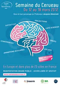 La Semaine du cerveau se tiendra du 12 au 18 mars sur toute la France. Vous pourrez débattre de la maladie d'Alzheimer à Lille et de la maladie de Parkinson à Paris, travailler votre mémoire à Strasbourg ou régénérer votre cerveau à Marseille. © Société des neurosciences 