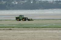 Les algues vertes sont-elles responsables de la mort des 28 sangliers dans les Côtes-d'Armor ? &copy;&nbsp;Superno, DR