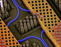 Sur cette illustration, les fils de couleur bleue représentent les canaux conduisant les photons. Ils sont imbriqués dans les structures jaunes en cuivre dans lesquelles on trouve le signal électrique. © IBM Labs