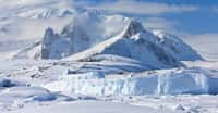 Un continent recouvert de glace et de neige. C’est l’idée que nous nous faisons de l’Antarctique. Mais avec le réchauffement climatique, les satellites nous montrent que de plus en plus de régions de la péninsule antarctique verdissent. © Goinyk, Adobe Stock