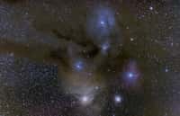 Nébulosités et fourmillement d'étoiles dans la région d'Antarès. © T. Fernandez
