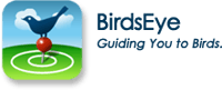 BirdsEye, une application pour iPhone qui vous guide jusqu’aux oiseaux de votre entourage. © eBird