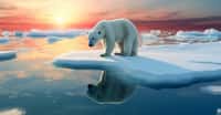 Des chercheurs montrent comment l’application du Protocole de Montréal profite à la glace de mer en Arctique. © Artofinnovation, Adobe Stock