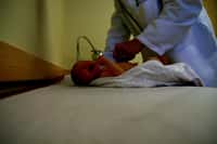 Les nouveau-nés américains qui naîtront avec une malformation cardiaque pourront désormais bénéficier du cœur artificiel. Les hôpitaux estiment qu'ils en poseront 4.000 chaque année. © Neil Coleman, Flickr, cc by nc sa 2.0