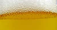 L'alcool de la bière provient de la fermentation alcoolique effectuée naturellement par la levure Saccharomyces cerevisiae. C'est exactement ce que vivait malgré lui un Texan de 61 ans. © Wakala, deviantart.com, cc by 3.0