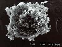 Une particule de black carbon observée au microscope électronique. Crédit : Nasa Goddard Institute for Space Studies, D. M. Smith, University of Denver