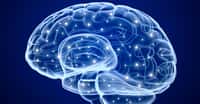 Grâce à des memristors, des chercheurs sont parvenus à reproduire artificiellement certaines fonctions essentielles au développement de l’intelligence dans le cerveau humain. © Alex Mit, Shutterstock