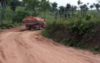 Des camions chargés de bois quittent jour et nuit la forêt des Awá.&nbsp;L'Amazonie compte des dizaines de milliers de kilomètres de routes illégales.&nbsp;© Survival