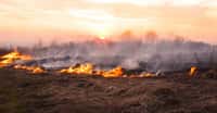 Pour s’installer en Nouvelle-Zélande, les Maoris ont brûlé des zones boisées. Des chercheurs en ont retrouvé des traces jusqu’en Antarctique. © Viktoria, Adobe Stock