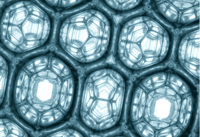 Une photo de la mousse de bulles exhibant la structure de Weaire-Phelan. © Ruggero Gabbrielli