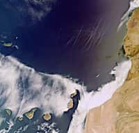 Cette image des îles Canaries a été prise le 8 septembre 2011 par la caméra Meris (Medium Resolution Imaging Spectrometer) du satellite Envisat. © Esa  
