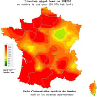 L'épidémie de gastroentérite frappe fort sur presque&nbsp;toute la France. Seule une partie de la région Champagne-Ardenne&nbsp;semble un peu moins sévèrement touchée par ces virus hivernaux.&nbsp;© Réseau Sentinelles