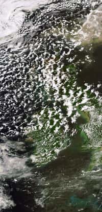 Cette image du nuage de cendres émis par le volcan islandais Grímsvötn a été prise le 24 mai par la caméra Meris (Medium Resolution Imaging Spectrometer) du satellite Envisat avec une résolution de 300 mètres. © DR
