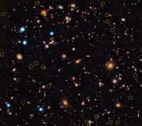 Le Chandra Deep Field South avec des images de Hubble en optique et infrarouge. Les cercles montrent la localisation des plus vieux trous noirs massifs connus aujourd'hui. © Rayons X : Nasa/CXC/U.Hawaii/ E.Treister et al; infrarouge : Nasa/STScI/UC Santa Cruz/G.Illingworth et al; optique: Nasa/STScI/S.Beckwith et al.